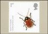 Insects : Action on Species 2008 Set of 10 British PHQ Cards #310