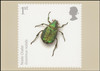 Insects : Action on Species 2008 Set of 10 British PHQ Cards #310