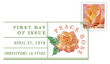 Peace Rose Stamp Digital Color Pictorial Postmark