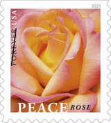 Peace Rose Stamp