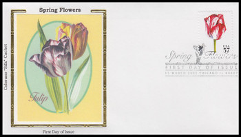 3902 / 37c Daffodil : Spring Flowers 2005 Colorano Silk First Day Cover