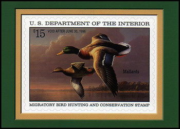 RW62 $15 Mallards Federal Duck Stamp Collectible Postcard