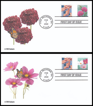 BCW Crystal Clear US Size #6 First Day Cover (FDC) 2 MIL Thickness Archival  Quality Sleeves - First Day Covers Online