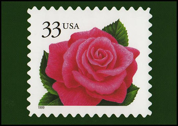 1999 33c Coral Rose Stamp Collectible Postcard