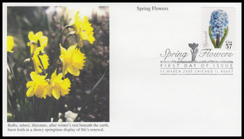 3900 / 37c Hyacinth : Spring Flowers Mystic 2005 First Day Cover