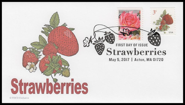5201 / 3c Strawberries 2017 FDCO Exclusive First Day Cover #3