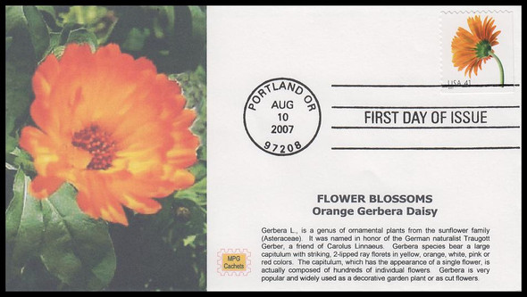 4177 / 41c Orange Gerbera Daisy : Beautiful Blooms Booklet Single 2007 MPG Cachets First Day Cover