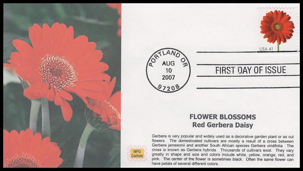 4181 / 41c Red Gerbera Daisy : Beautiful Blooms Booklet Single 2007 MPG Cachets First Day Cover