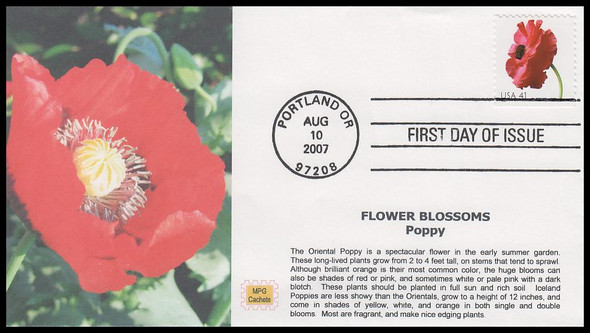 4183 / 41c Poppy : Beautiful Blooms Booklet Single 2007 MPG Cachets First Day Cover