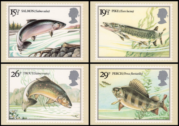 British River Fish 1983 Set of 4 British PHQ Cards #65