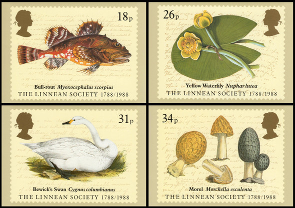The Linnean Society 1988 Set of 4 British PHQ Cards #107