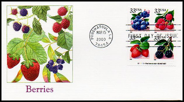 3297d / 33c Fruit Berries PSA Booklet Se-Tenant Pane of 4 Fleetwood 2000 FDC