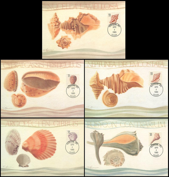 2117 - 2121 / 22c Seashells Set of 5 Fleetwood 1985 Maximum Card