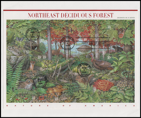 3899 / 37c Northeast Deciduous Forest : Nature of America Pane 2005 USPS Uncacheted First Day Cover