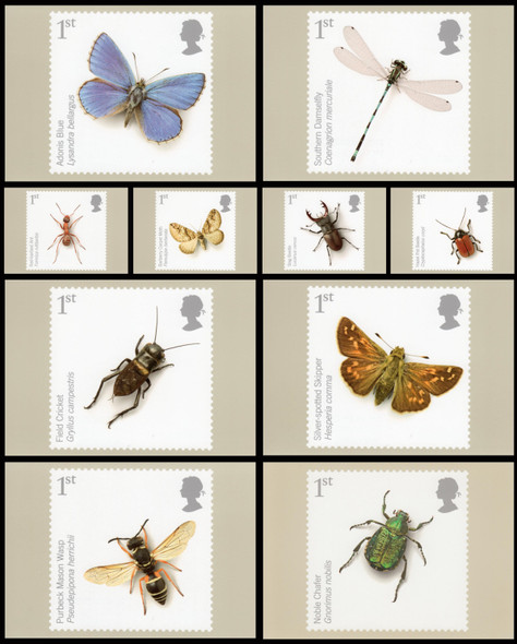 Insects : Action on Species 2008 Set of 10 British PHQ Cards #310