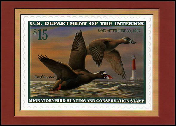 Collectible Postcards - Duck Stamps - First Day Covers Online