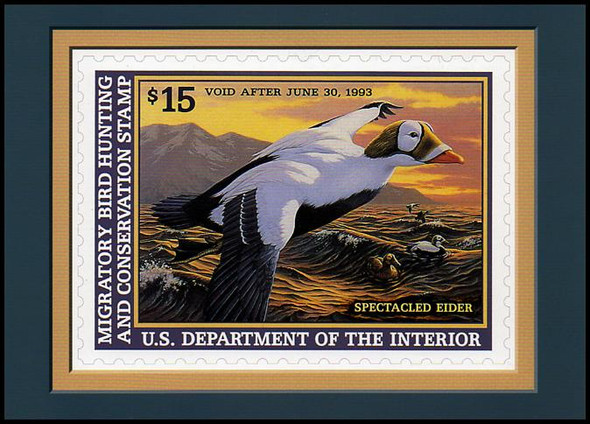 RW59 $15 Spectacled Eider Federal Duck Stamp Collectible Postcard