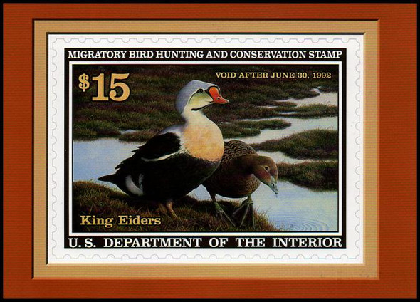 RW58 $15 King Eider Federal Duck Stamp Collectible Postcard