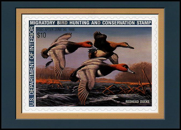 RW54 $10 Redhead Ducks Federal Duck Stamp Collectible Postcard