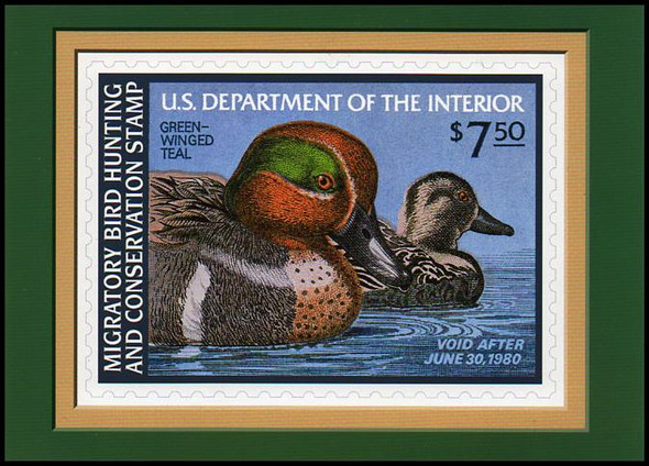 RW46 $7.50 Green-Winged Teal Duck Federal Duck Stamp Collectible Postcard