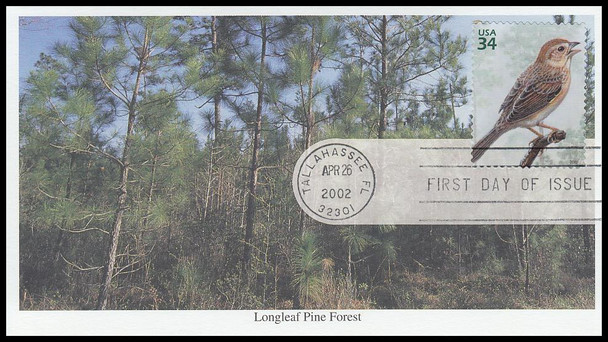 3611a / 34c Bachman’s Sparrow : Longleaf Pine Forest 2002 Mystic First Day Cover