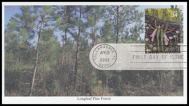 3611fi / 34c Rosebud Ochid and Southern Toad : Longleaf Pine Forest 2002 Mystic First Day Cover