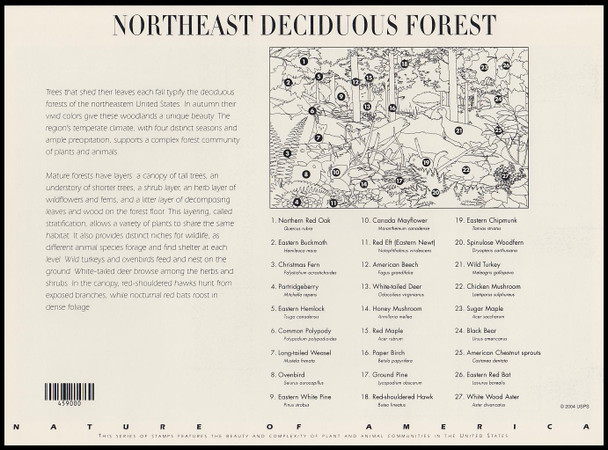 3899 / 37c Northeast Deciduous Forest Pane of 10 : Nature of America Series 2005 USPS