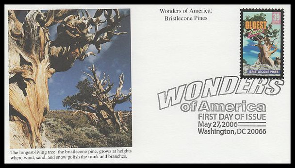 4049 / 39c Bristlecone Pines, Oldest Trees : Wonders of America 2006 Mystic FDC