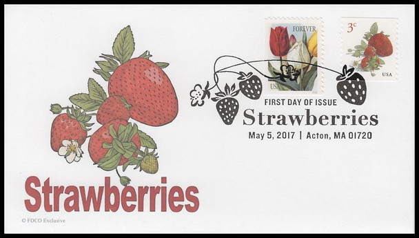 5201 / 3c Strawberries 2017 FDCO Exclusive First Day Cover #2