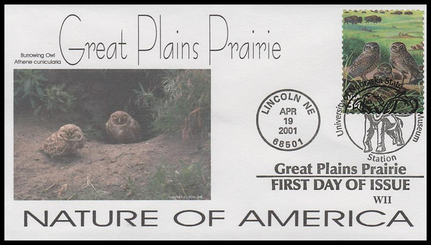 3506b / 34c Burrowing Owls & Buffalo Grass : Great Plains Prairie 2001 WII Cachets First Day Cover