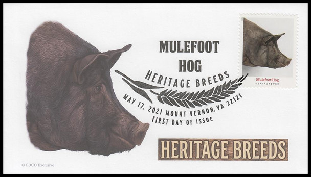 5583 - 5592 / 55c Heritage Breeds 2021 Set of 10 FDCO Exclusive First Day Covers