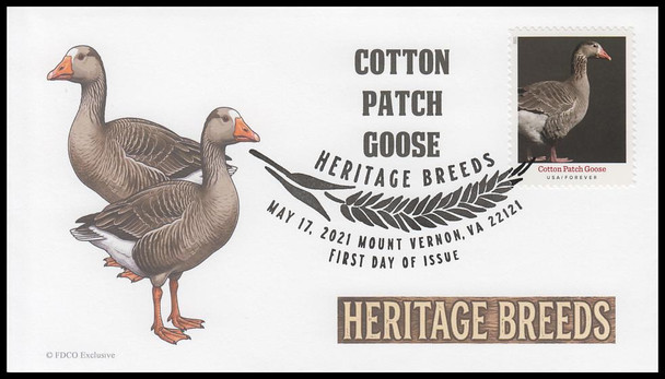 5583 - 5592 / 55c Heritage Breeds 2021 Set of 10 FDCO Exclusive First Day Covers