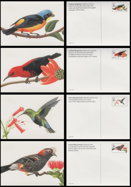 Copy of UX293 - UX296 / 20c Tropical Birds 1998 Set of 4 USPS Postal Cards
