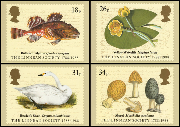 The Linnean Society 1988 Set of 4 British PHQ Cards #107