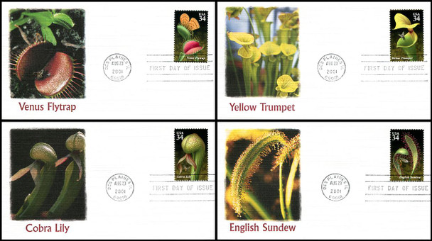 3528 - 3531 / 34c Carnivorous Plants Set of 4 Fleetwood 2001 First Day Covers