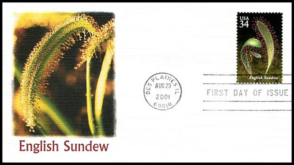 3528 - 3531 / 34c Carnivorous Plants Set of 4 Fleetwood 2001 First Day Covers
