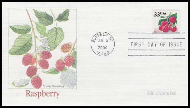 3404 - 3407 / 33c Fruit Berries PSA Coil Set of 4 Fleetwood 2000 FDCs