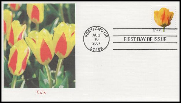 4176 - 4185 / 41c Beautiful Blooms Booklet Singles Set of 10 Fleetwood 2007 FDCs