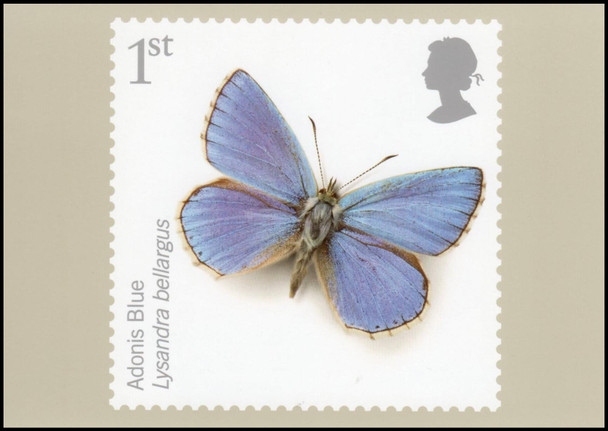 Insects : Action on Species 2008 Set of 10 British PHQ Cards #310