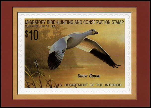 RW55 $10 Snow Goose Federal Duck Stamp Collectible Postcard