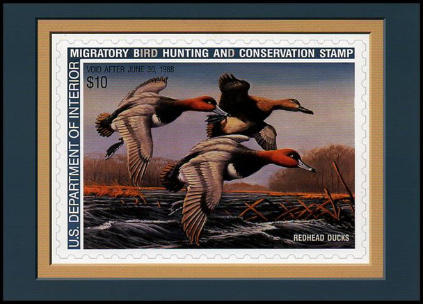 RW54 $10 Redhead Ducks Federal Duck Stamp Collectible Postcard