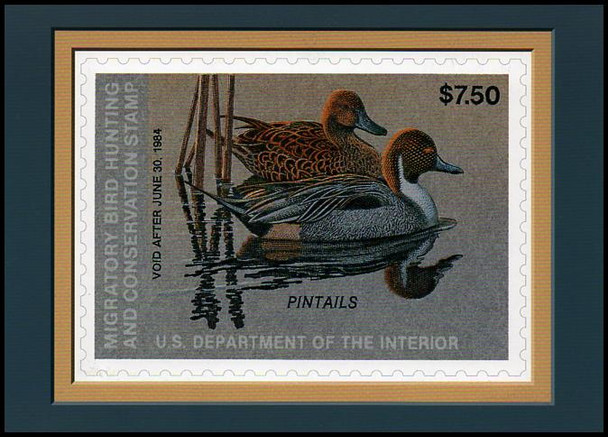 RW50 $7.50 Pintails Federal Duck Stamp Collectible Postcard