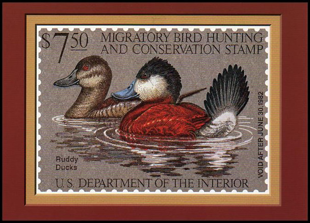 RW48 $7.50 Ruddy Ducks Federal Duck Stamp Collectible Postcard