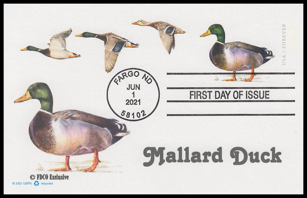 UX648 / 36c Mallard Duck Postal Card 2021 FDCO Exclusive First Day Cover
