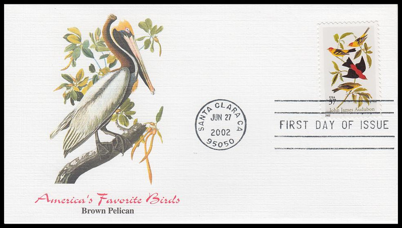 American Robin — Santa Clara Valley Audubon Society