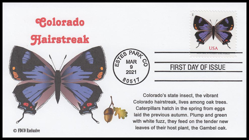 Colorado's Hairstreak Butterfly Featured on New Stamp for