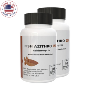 Bird/Aqua Zithro - Azithromycin 250mg 60 Tablets Bird/Aqua Zithro - Azithromycin 250mg 60 Tablets