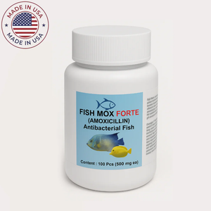 fish Mox amoxicillin 500 mg 100 capsules fish Mox amoxicillin 500 mg 100 capsules
