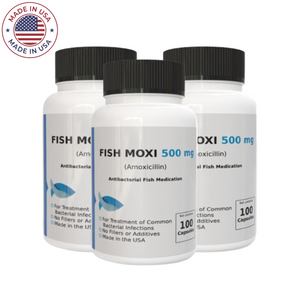 Aquarium Amoxicillin - Fish Mox Forte 500mg 300 Capsules - 3 Pack Aquarium Amoxicillin - Fish Mox Forte 500mg 300 Capsules - 3 Pack