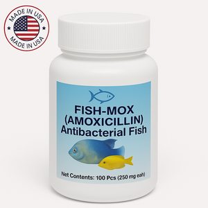 Fish Mox Forte Amoxicillin 250 mg 100 Capsules Fish Mox Forte Amoxicillin 250 mg 100 Capsules